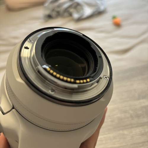 RF100-500mm f4.5-7.1 l is usm