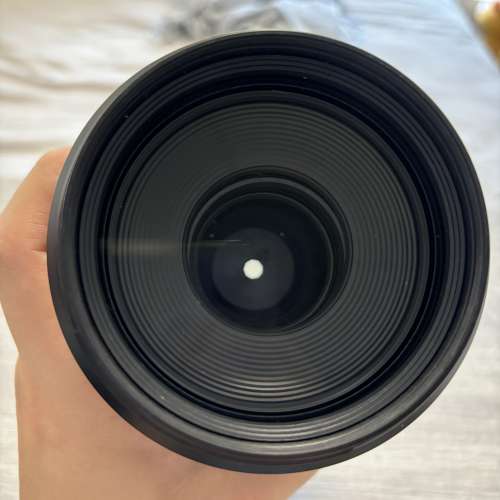 RF100-500mm f4.5-7.1 l is usm