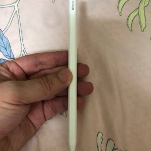 Only Pencil - 99%new Apple Pencil 2 one month warranty