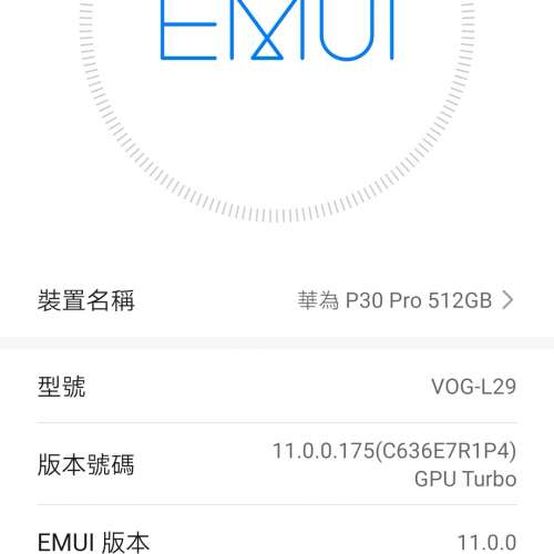 華為 Huawei P30 Pro