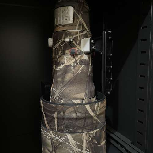 Sony FE 600mm F4 GM OSS (684)