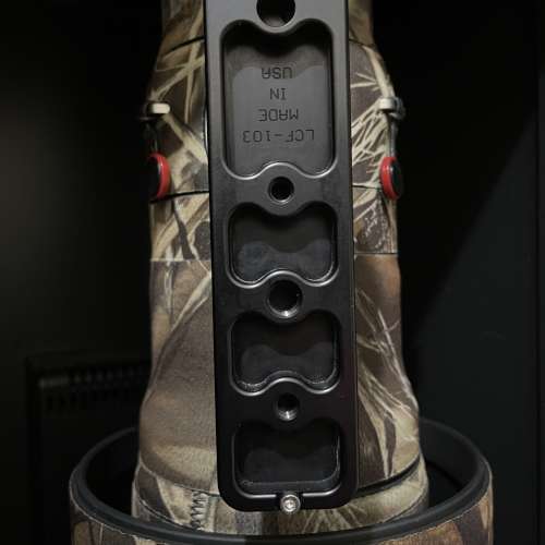 Sony FE 600mm F4 GM OSS (684)