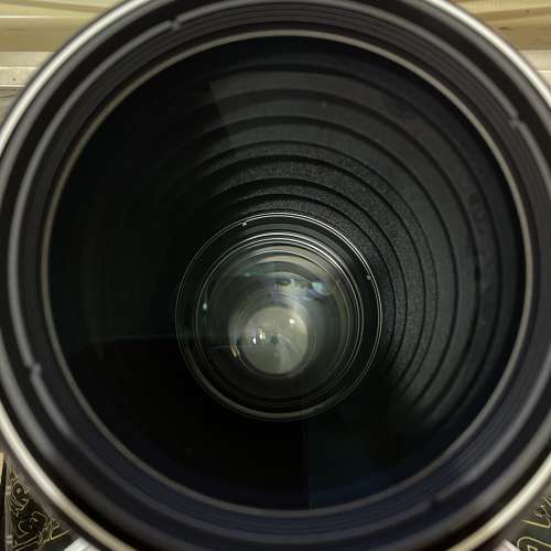 Sony FE 600mm F4 GM OSS (684)