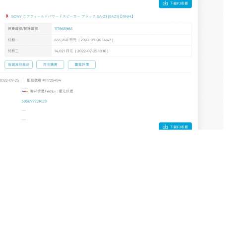 Sony SA-Z1 signature 音箱 連220轉100V 變壓隔離牛