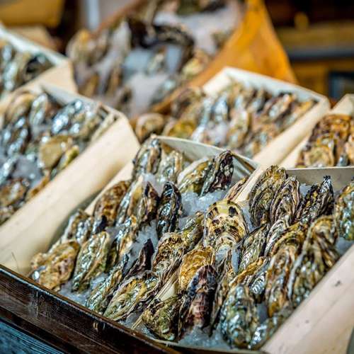 澳門上葡京自助山晚餐7折特價優惠