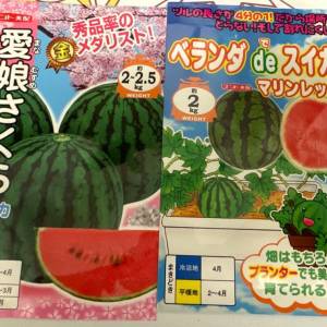 日本包裝 西瓜種子
