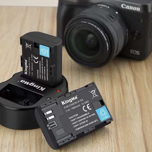 LP-E6雙充充電器for Canon 7D 7D2 6D 6D2 5DRS 5D4 5D2 5D3 60D 70D 80D 相機