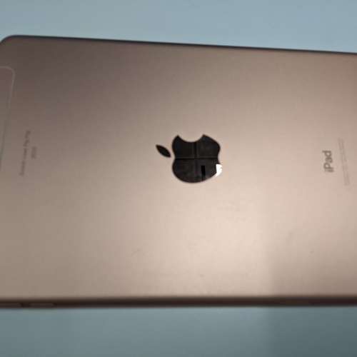 ipad mini 5 256GB Wifi+cellular 玫瑰金