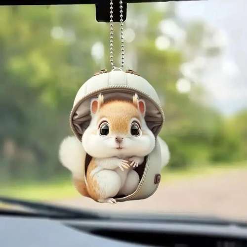 現貨速發小紅書同款壓克力平面向背包松鼠汽車掛包包件掛飾