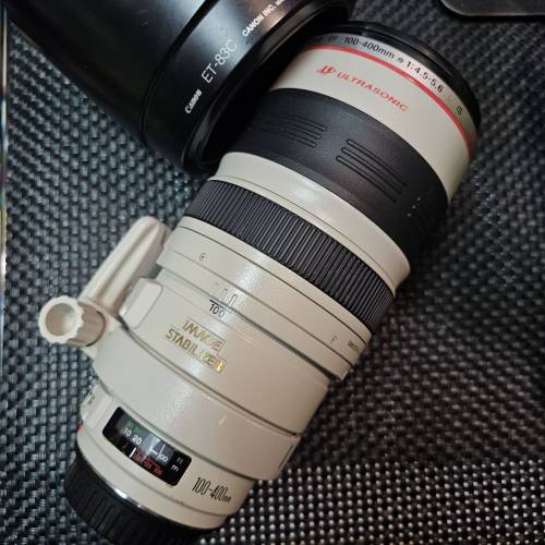 Canon EF 100-400MM IS 大白