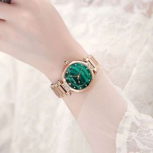 高顏值女式手錶2024新款機械錶防水小眾輕奢高檔