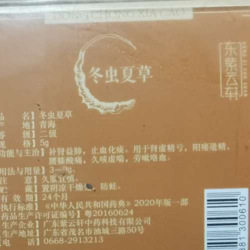 二級冬蟲夏草