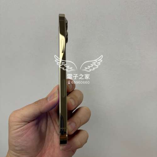 (荃灣實體店，史上最平13pro max )Apple Iphone 13 pro 128 1tb   黑色 金色😍  #點...