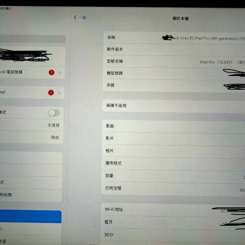 iPad Pro 12.9吋 4th Generation 256G銀灰色WIFI版
