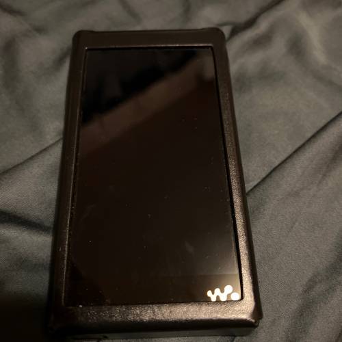 sony wm1am2