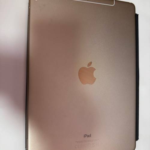 ipad pro 10.5 lte 64G gold 90% battery