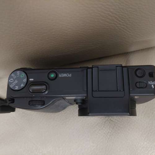 Ricoh GX100 CCD 機王