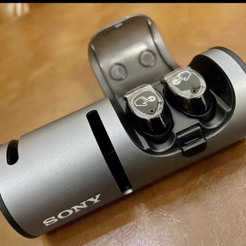 SONY 藍牙音箱耳機