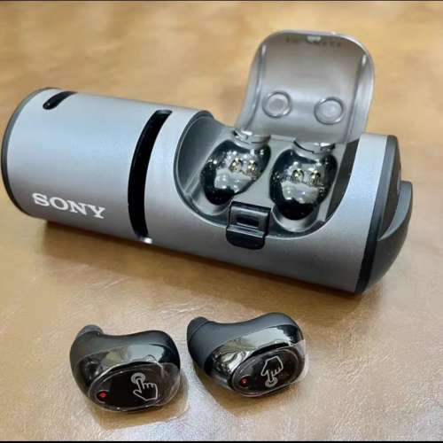 SONY 藍牙音箱耳機