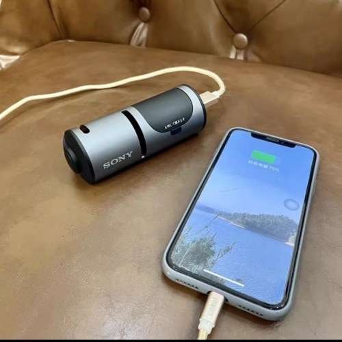 SONY 藍牙音箱耳機