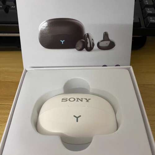 SONY 運動藍牙耳機 HM-20