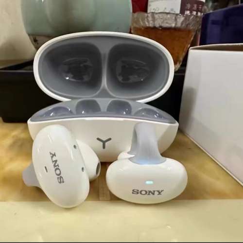 SONY 運動藍牙耳機 HM-20