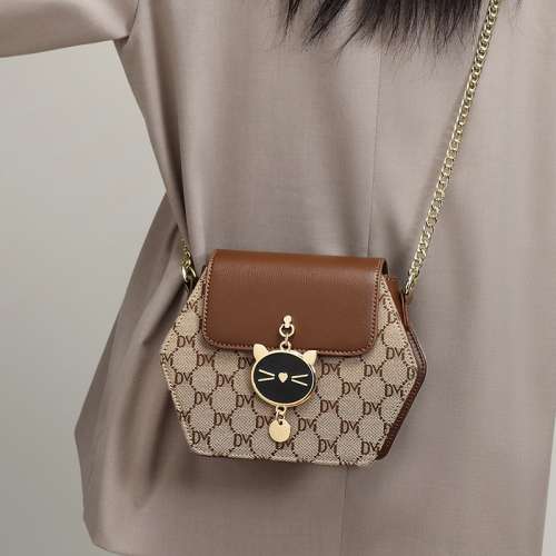 2024新款女包斜背包爆款高級感秋冬鏈條包2024輕奢bags