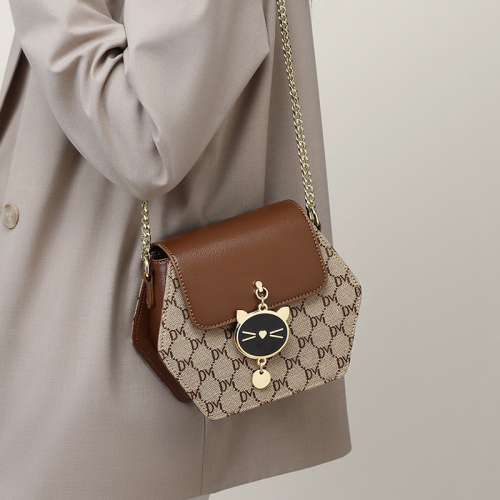 2024新款女包斜背包爆款高級感秋冬鏈條包輕奢bags