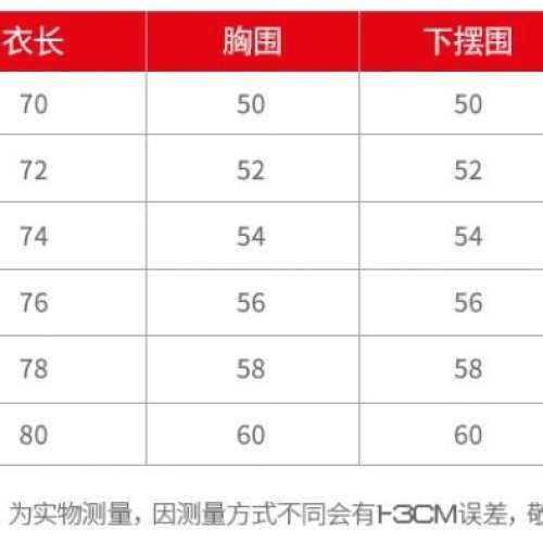 Arsenal 阿仙奴訓練運動背心