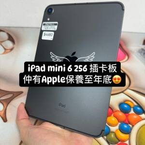 (電子之家ipad mini系列)APPLE ipad mini 6/256gb wifi+ Cellular /插卡板/sim/可...