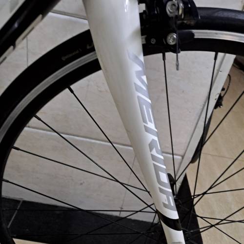 merida scultura 4000碳架公路車