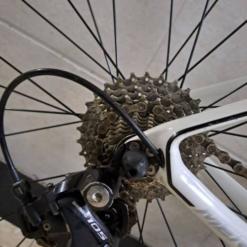 merida scultura 4000碳架公路車