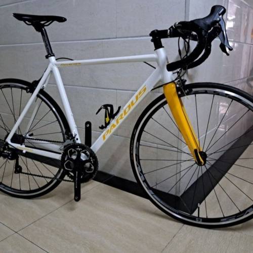 Pardus revenant sora r3000 瑞豹公路單車 (碳前叉) 車架支援di2電子變速