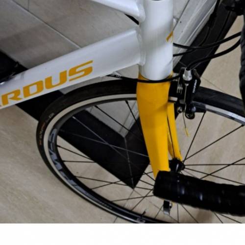 Pardus revenant sora r3000 瑞豹公路單車 (碳前叉) 車架支援di2電子變速