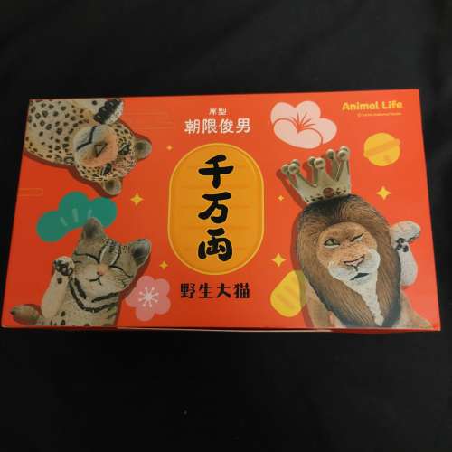 朝隈俊男 野生招財大貓
