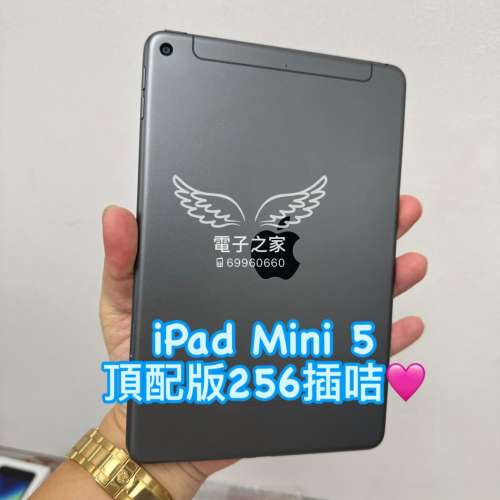 (電子專家 ipad mini 5)  😍Apple ipad mini 5 mini 6 256 香港行貨 wifi 插卡版 c...