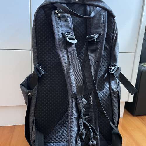 pacsafe vibe 25L backpack 60301