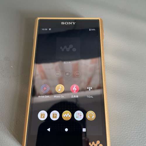 金磚2代 Sony WM1ZM2 有接地 （過咗保養期）