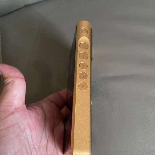 金磚2代 Sony WM1ZM2 有接地 （過咗保養期）