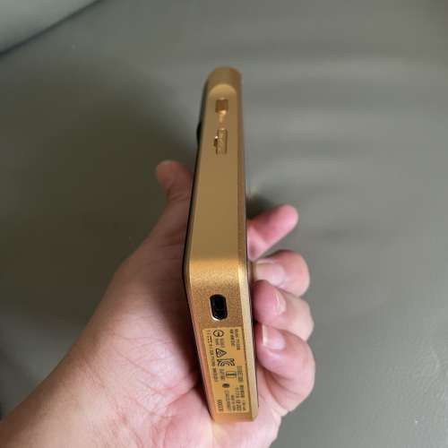 金磚2代 Sony WM1ZM2 有接地 （過咗保養期）