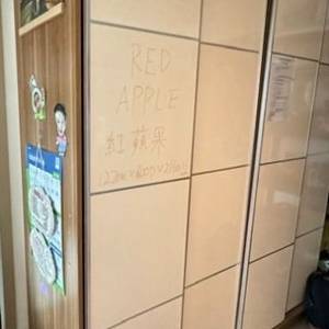 RED APPLE紅蘋果 TR9219TG-48格仔雙趟門衣櫃1220W x 600D x 2160Hmm