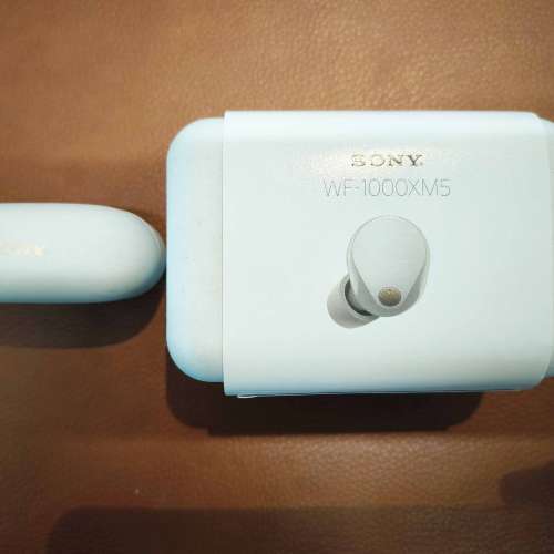 SONY WF-1000XM5 無線藍芽耳機 (白金銀色)
