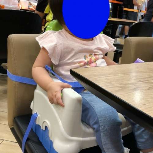 Fisher Price 寶寶小餐椅 (藍綠色) &ndash; 食飯私家BB椅