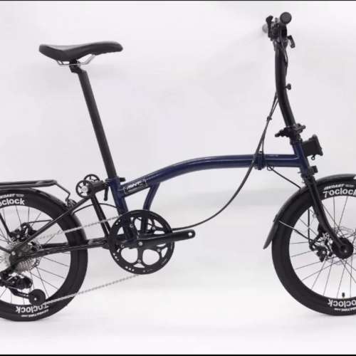 2024 MINT T9D-20D 9速 碟剎 20吋折叠車 送前後蛙燈叮叮