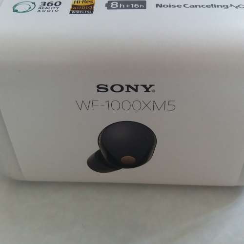 SonyWF 1000XM5