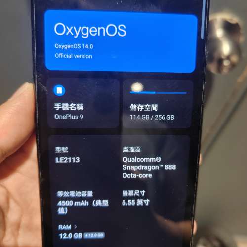 OnePlus 9 12+256 9新