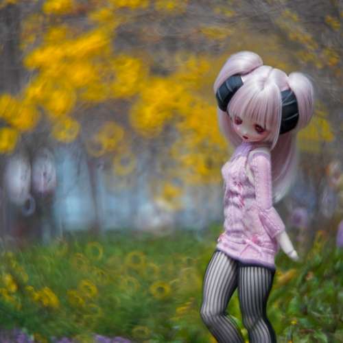 Canon Reflex CL250 1:4 Nikon 接環