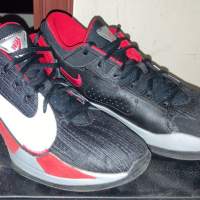 Nike Zoom Freak 2 Antetokounmpo basketball shoe 籃球鞋 字母哥