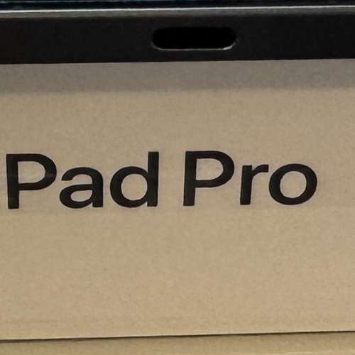 ipad pro 12.9 吋 5代 wifi + celluar 256gb (MHR63ZPA)  灰色