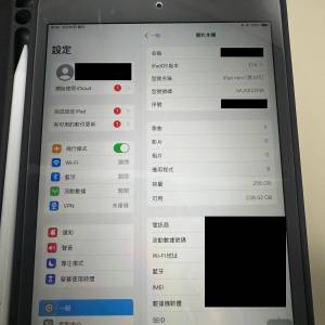 ipad mini 5 256GB Wifi + cellular 玫瑰金